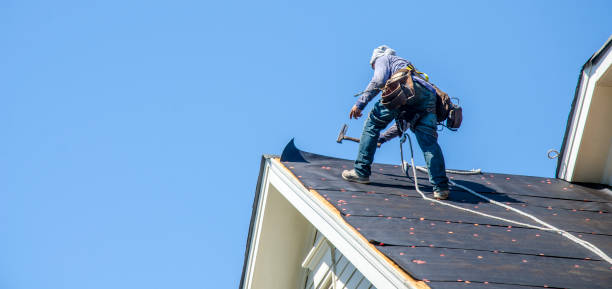 Best Commercial Roofing Services  in Lanai City, HI